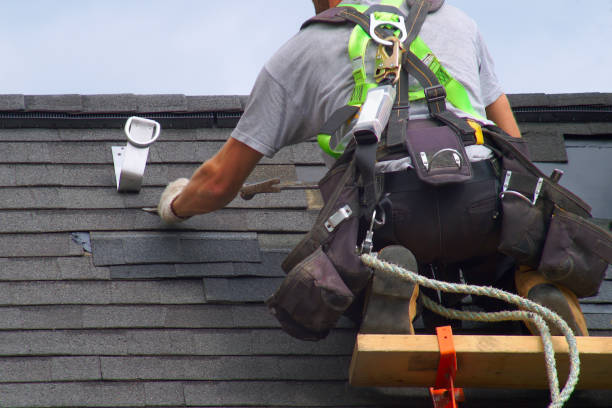Best Roof Moss and Algae Removal  in Albers, IL