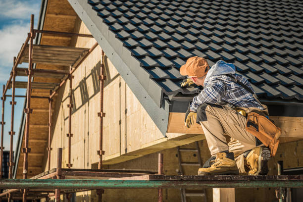 Best Skylight Installation and Repair  in Albers, IL