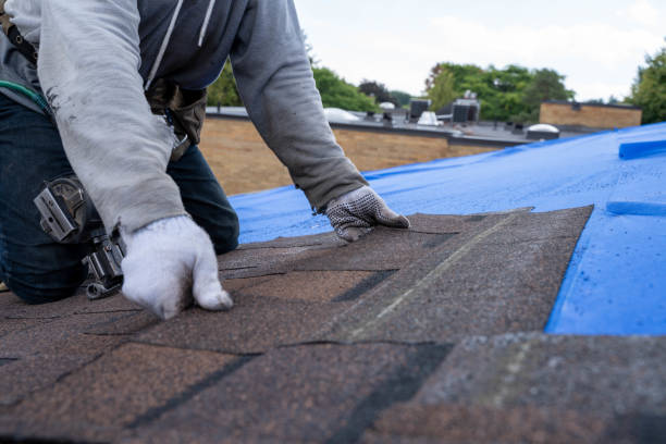 Best Asphalt Shingles Roofing  in Albers, IL