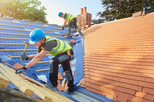 Best Metal Roofing Installation  in Albers, IL